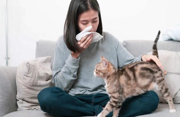 Nguyên nhân dị ứng vào ban đêm