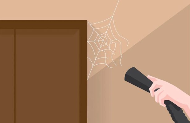quét mạng nhện như thế nào