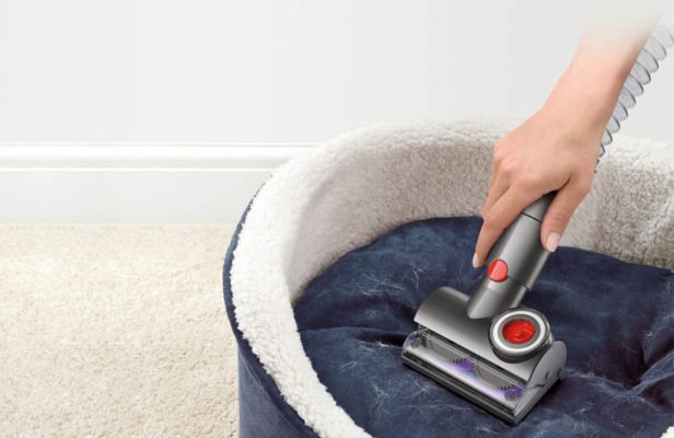 cách vệ sinh giường của thú cưng